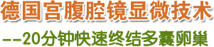 德國宮腹腔鏡顯微技術 20分鐘快速終結多囊卵巢